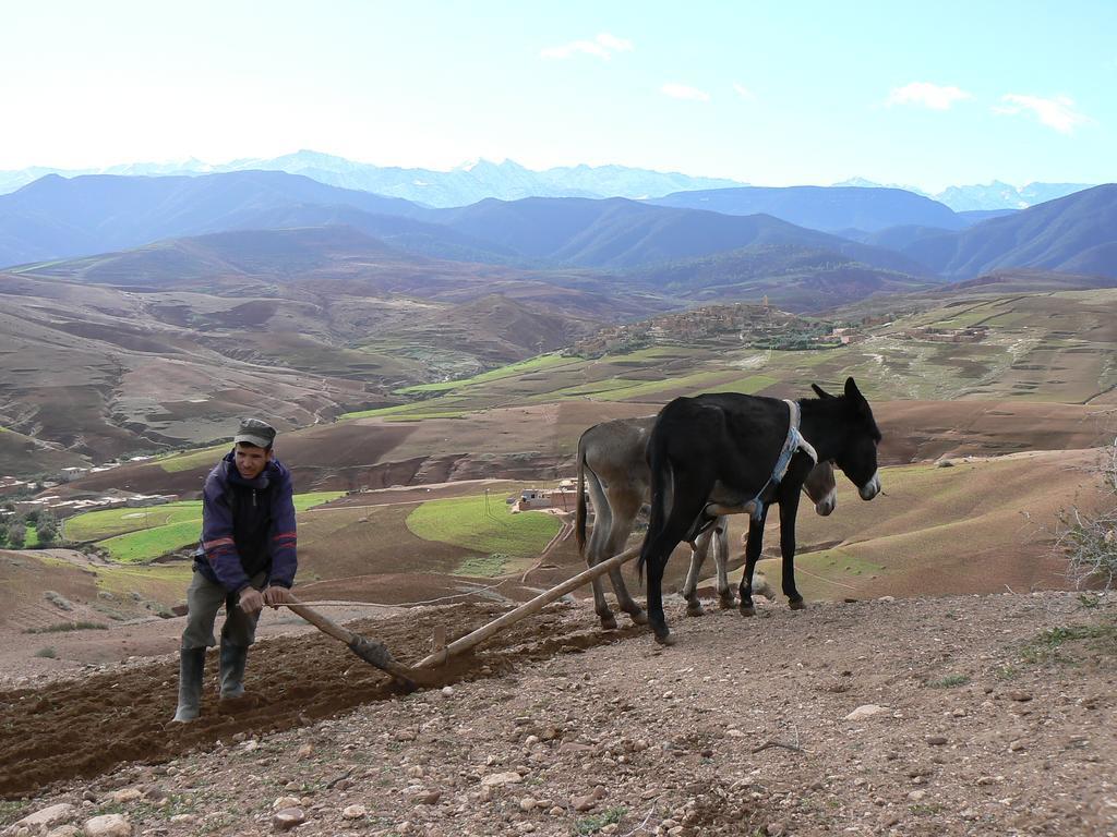 Tigmi Nomade Bed & Breakfast