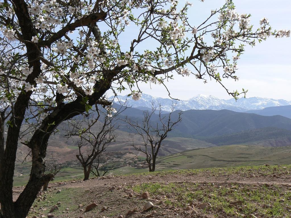 Bed & Breakfast Tigmi Nomade