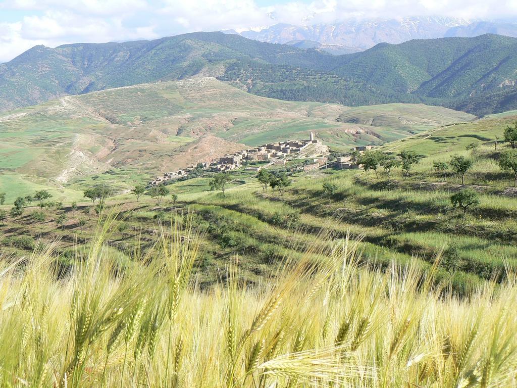 Bed & Breakfast Tigmi Nomade